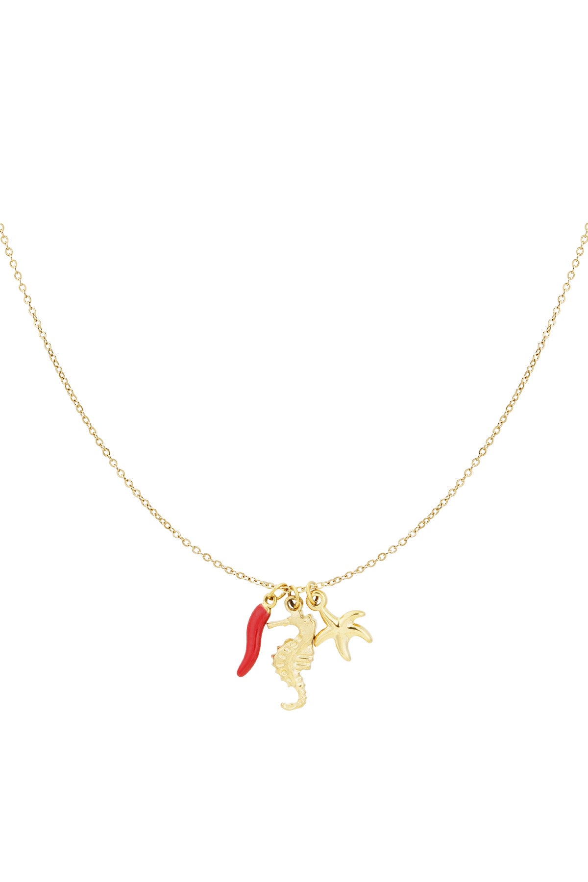 Collar seaside