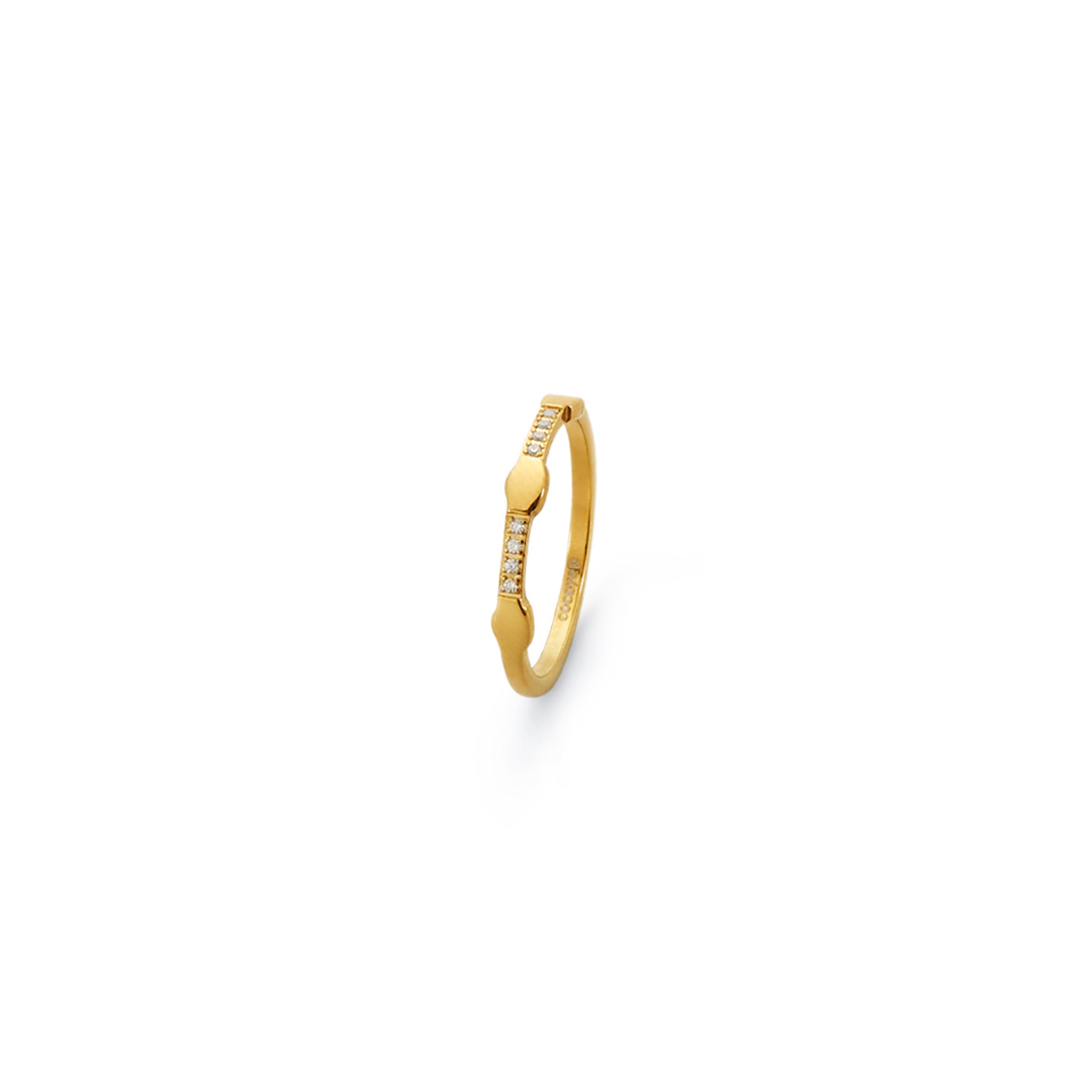 Anillo Link Brillante Dorado