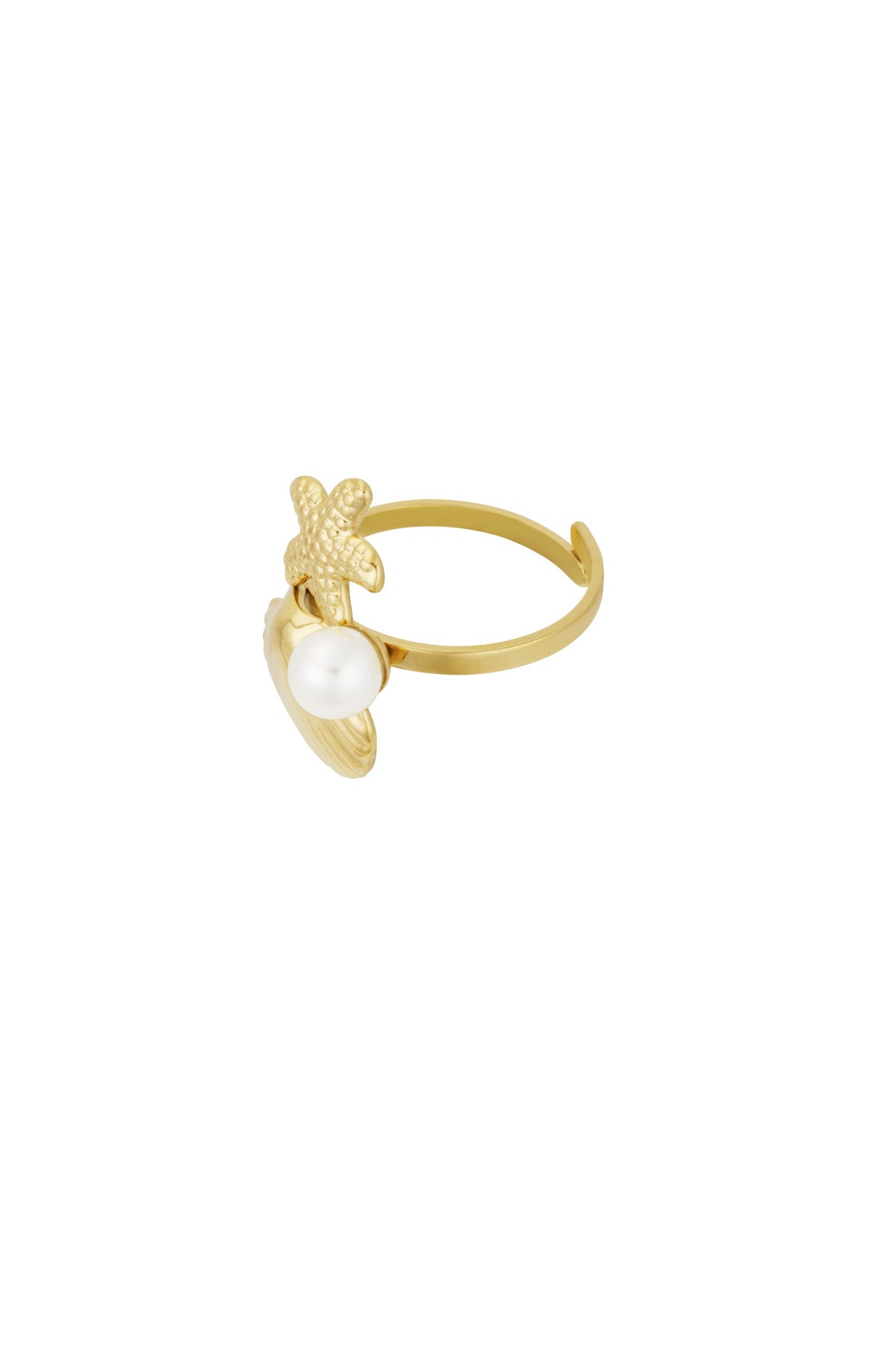 Anillo lado mar