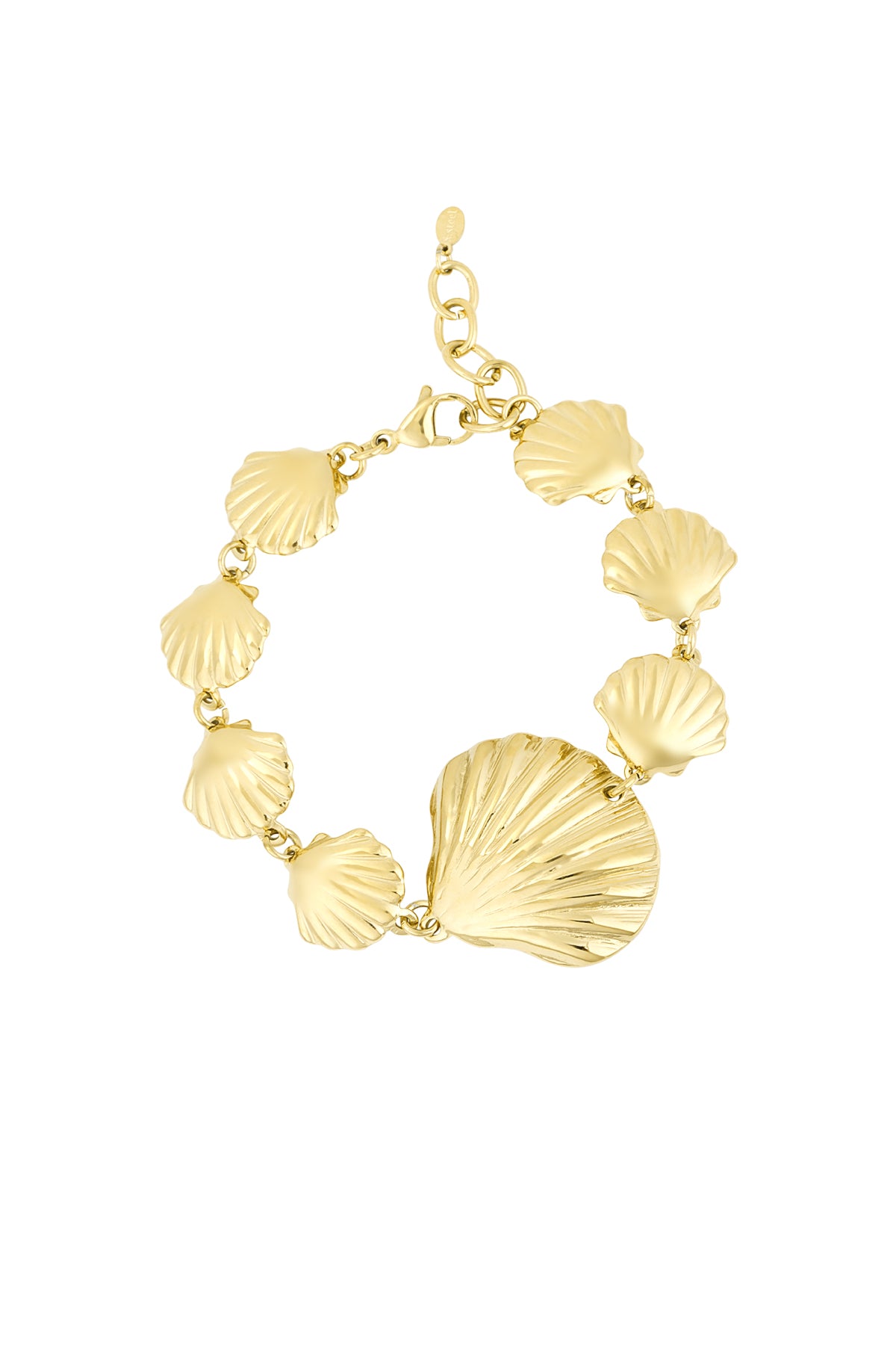 Pulsera amante de las conchas marina