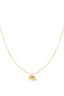 Lindo collar de elefante