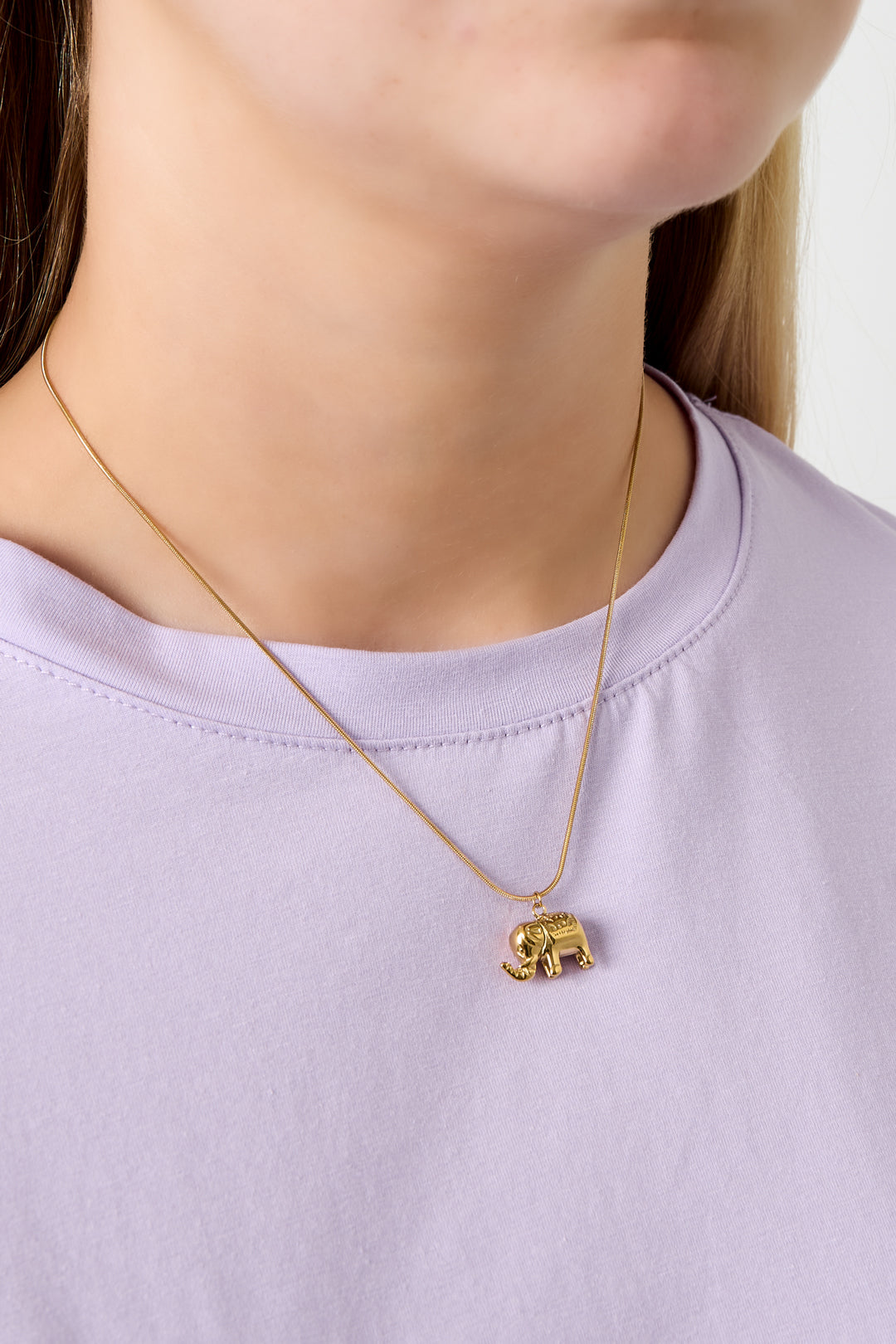 Lindo collar de elefante