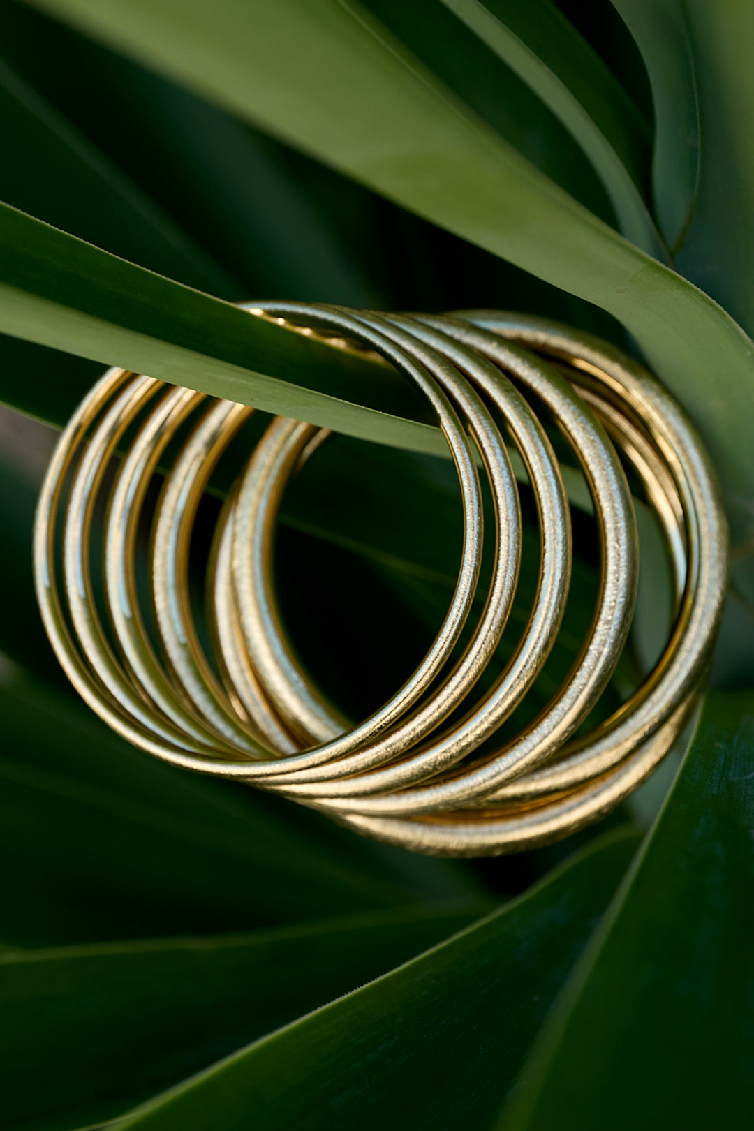 Brazalete Imagen secundaria del producto