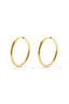 Hoop earrings 