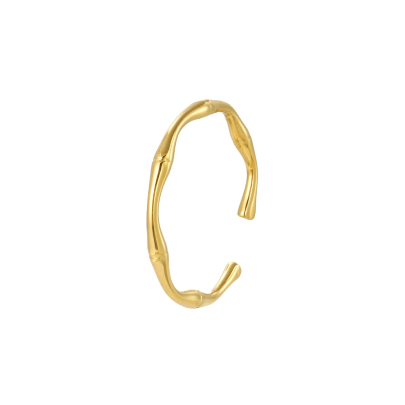 Anillo Zoey's Zone