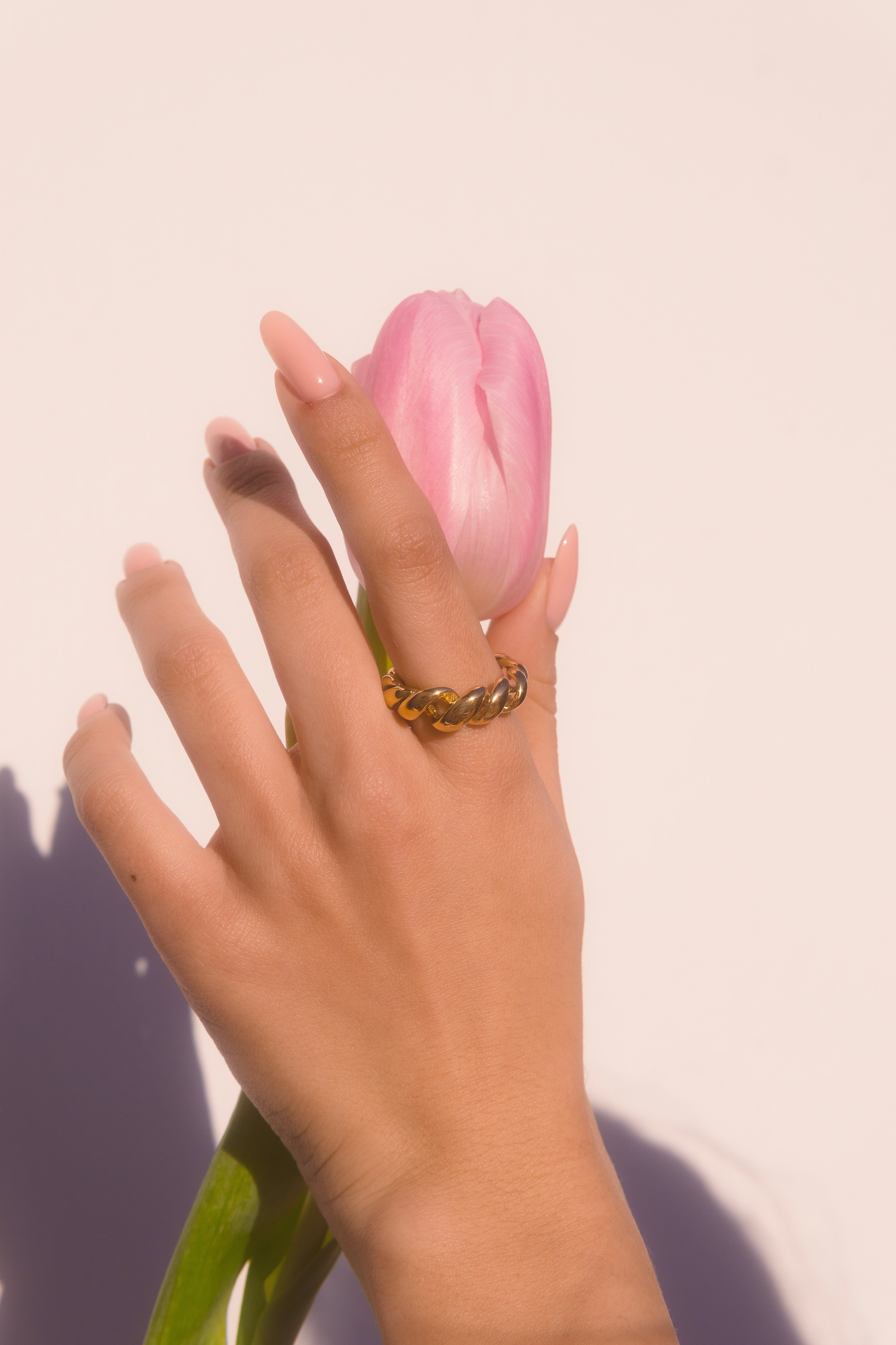 Anillo trocido