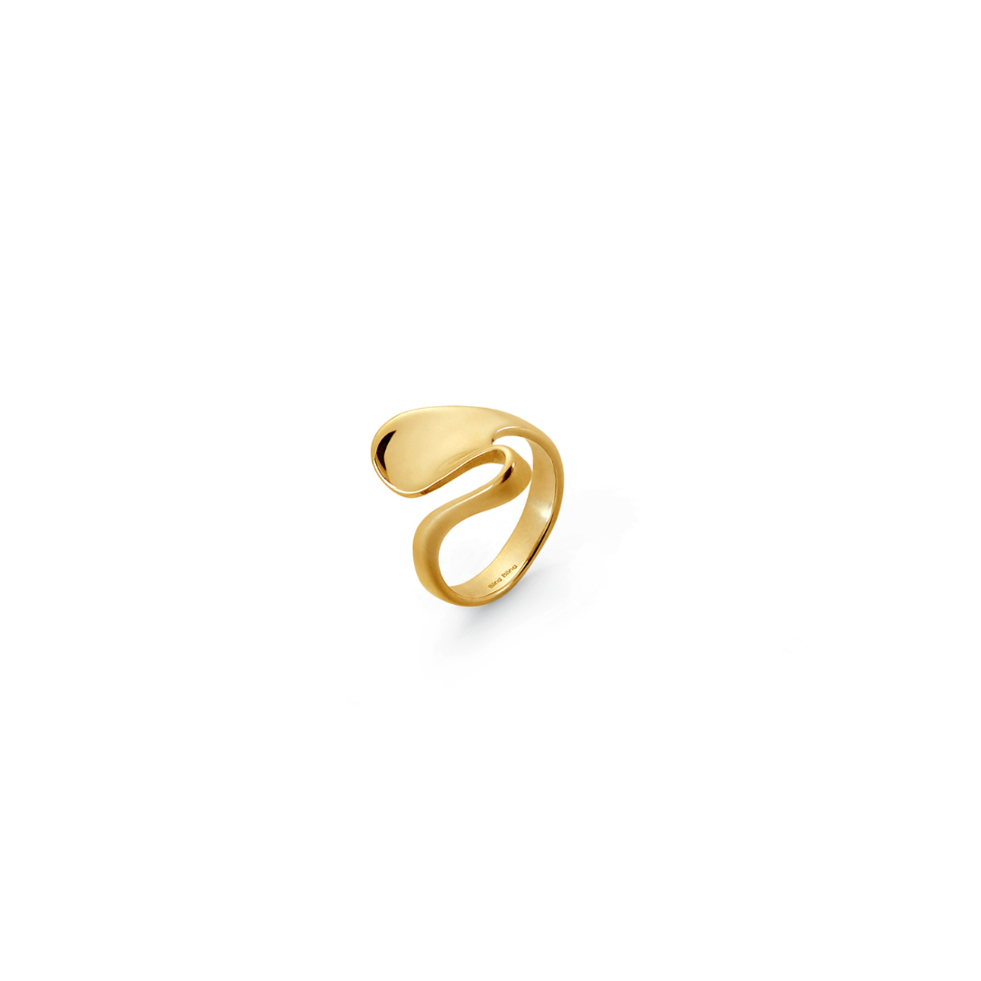 Anillo Torsión Ancha