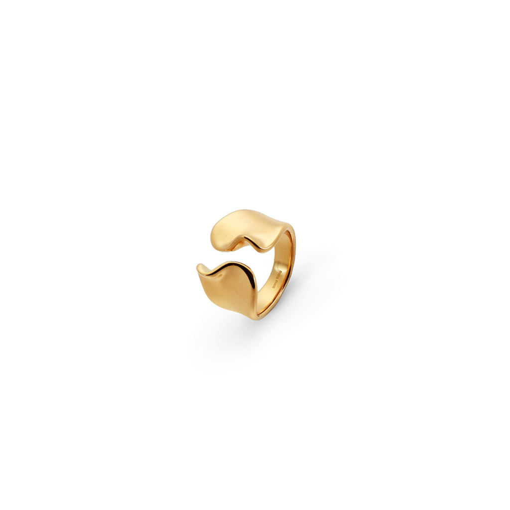 Anillo Ola Abierta