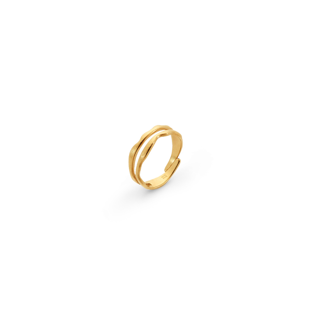 Anillo Doble Línea