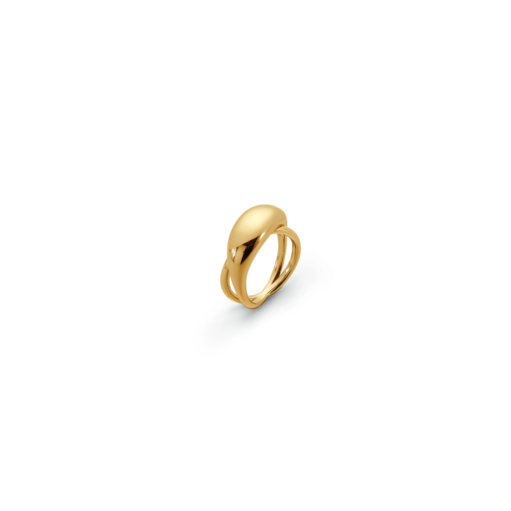 Anillo Géminis