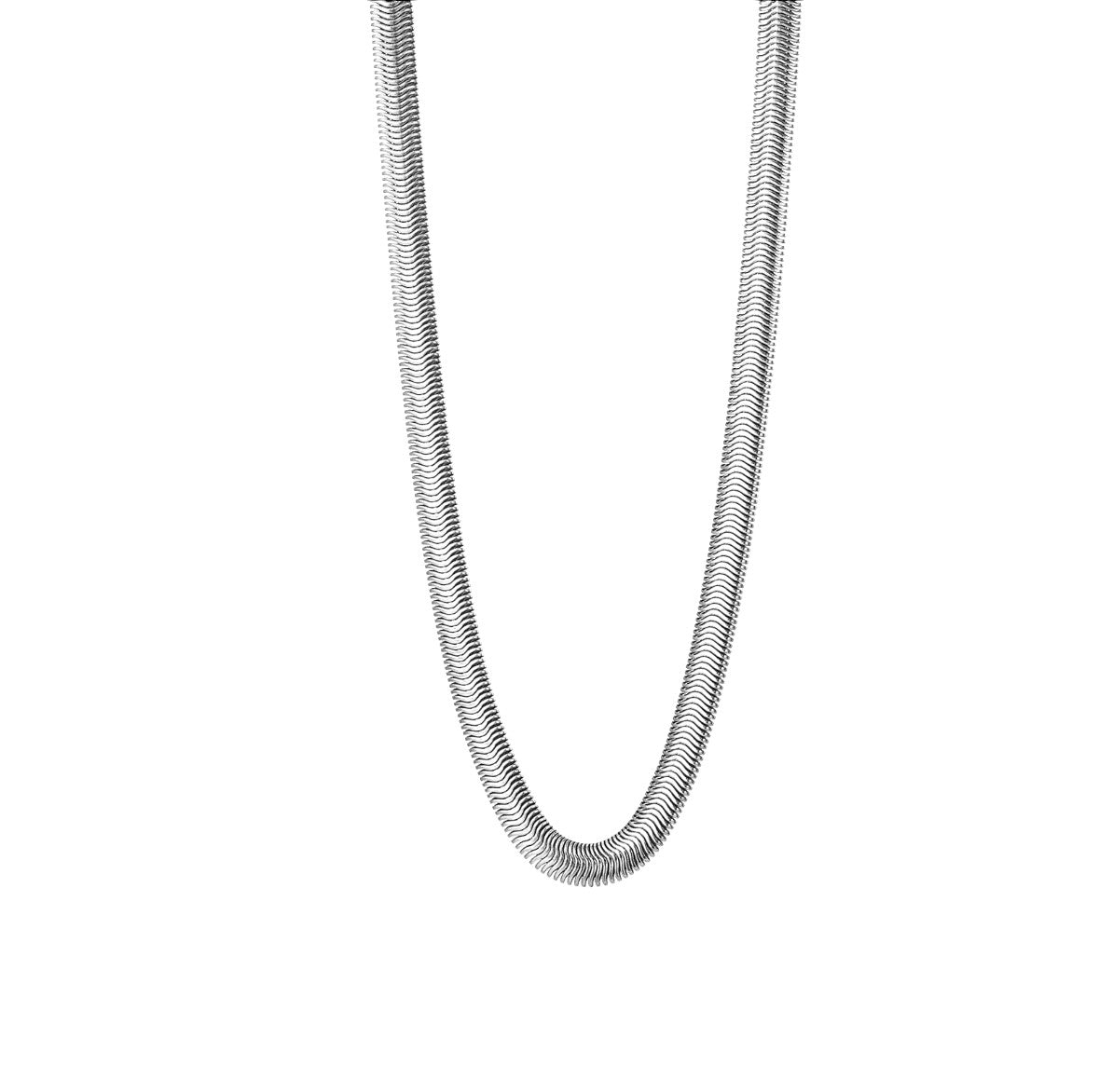 Collar Savannah Trends