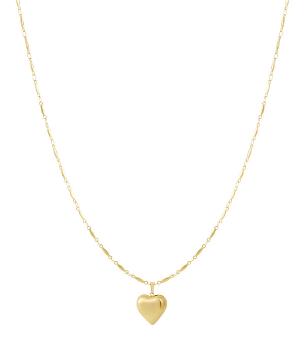 Collares colgantes de acero inoxidable Corazón Casual Diario