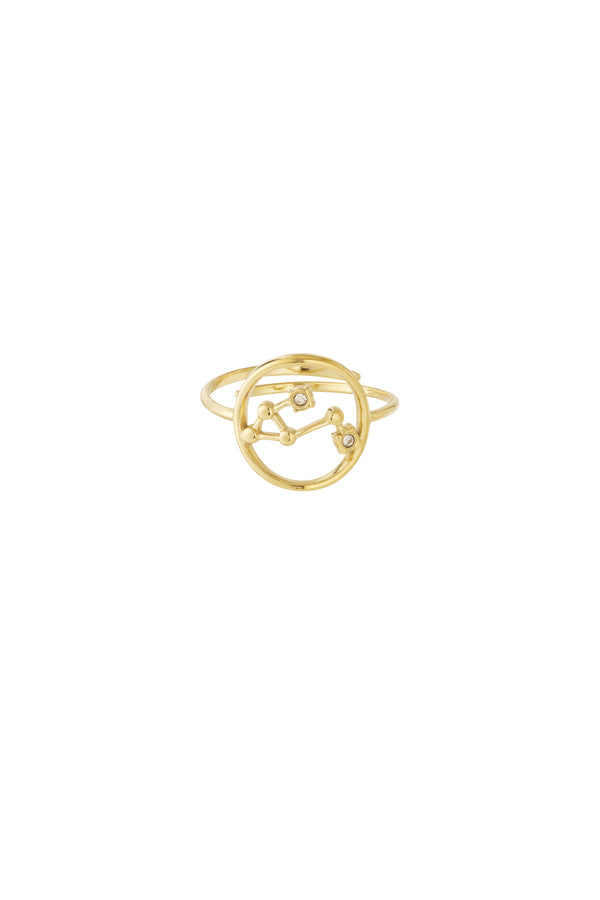 14K Gold Plated Zodiac Statement Ring for Women