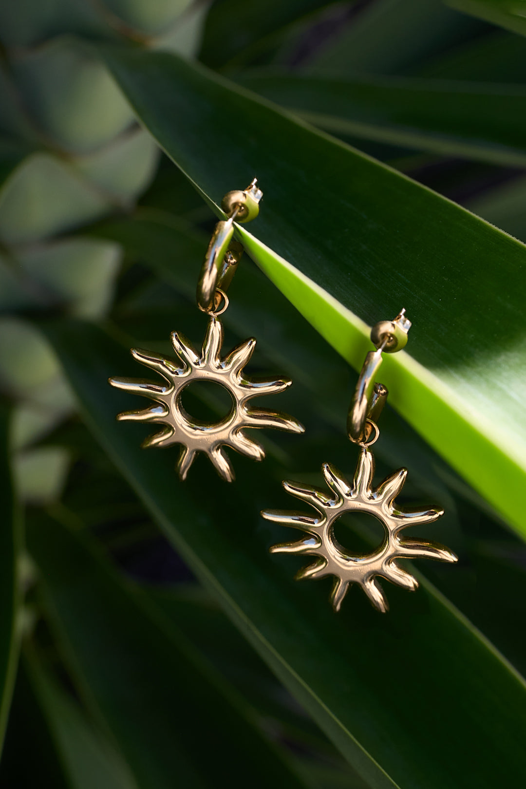 Earrings Secondary product image