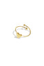 Anillo de corazón pequeño